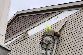 Best Fascia and Soffit Installation  in Park River, ND